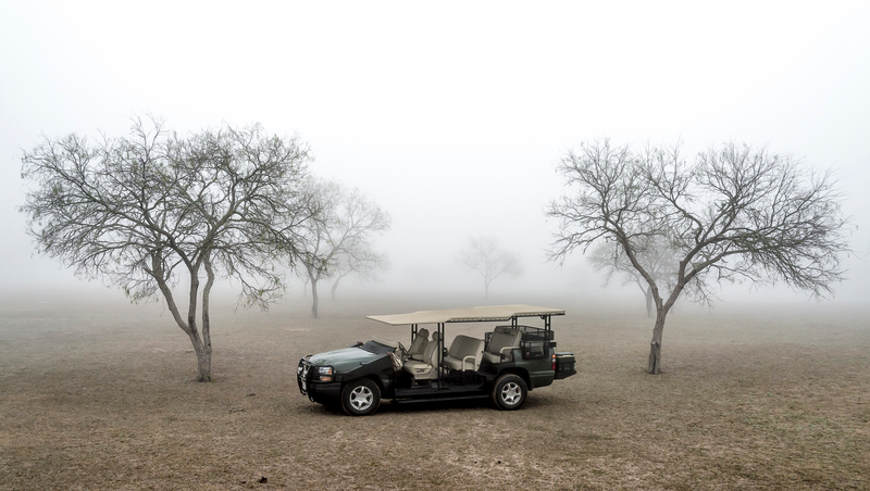 Illustration for article titled These Are The Insane Trucks Texans Use To Hunt Birds